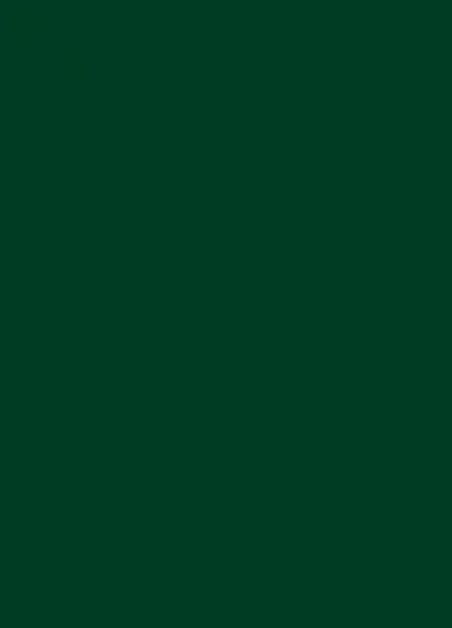 Фасады Фасад из акрила 060 Dark Green (Темно-зеленый) на заказ в Судаке Фасады Фасад из акрила 060 Dark Green (Темно-зеленый) на заказ в Судаке фотография