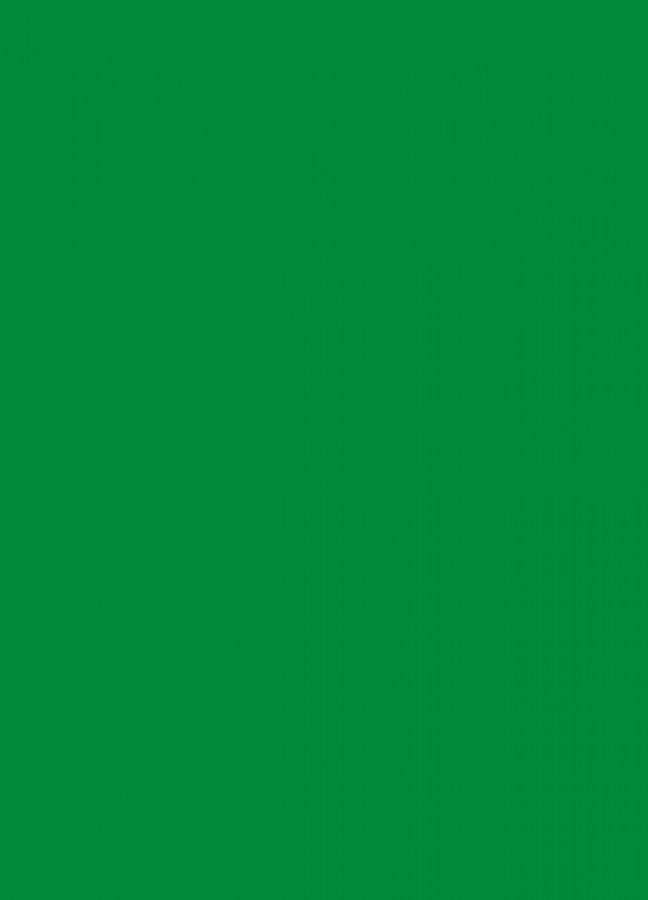Фасады Фасад из акрила 062 Light green (Светло-зеленый) на заказ в Судаке Фасады Фасад из акрила 062 Light green (Светло-зеленый) на заказ в Судаке фотография