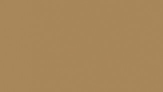  Фасад из акрила 081 Light brown (Светло-коричневый)