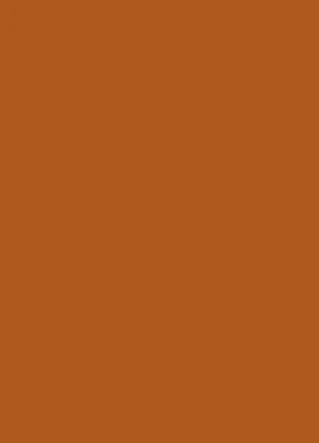 Фасады Фасад из акрила 083 Nut brown (Ореховый) на заказ в Судаке Фасады Фасад из акрила 083 Nut brown (Ореховый) на заказ в Судаке фотография