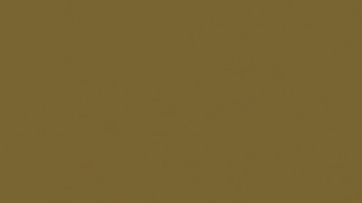  Фасад из акрила 091 Gold (Золотистый)